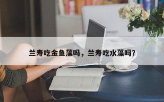 兰寿吃金鱼藻吗，兰寿吃水藻吗？