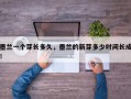 墨兰一个芽长多久，墨兰的新芽多少时间长成！