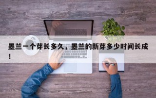 墨兰一个芽长多久，墨兰的新芽多少时间长成！