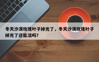 冬天沙漠玫瑰叶子掉光了，冬天沙漠玫瑰叶子掉光了还能活吗？