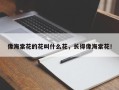 像海棠花的花叫什么花，长得像海棠花！