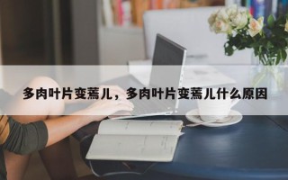多肉叶片变蔫儿，多肉叶片变蔫儿什么原因