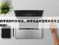 四季桂的叶片特点，四季桂品种怎样从叶子上辨别？