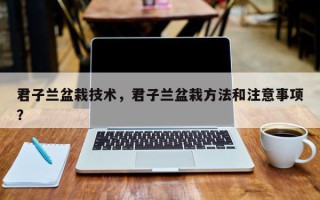 君子兰盆栽技术，君子兰盆栽方法和注意事项？