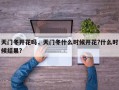 天门冬开花吗，天门冬什么时候开花?什么时候结果?