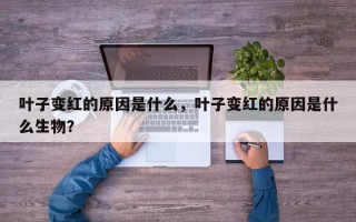 叶子变红的原因是什么，叶子变红的原因是什么生物？