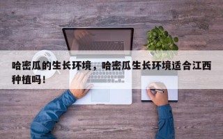 哈密瓜的生长环境，哈密瓜生长环境适合江西种植吗！