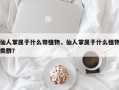 仙人掌属于什么带植物，仙人掌属于什么植物类群？