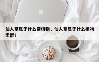 仙人掌属于什么带植物，仙人掌属于什么植物类群？