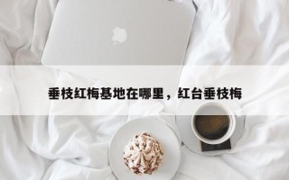 垂枝红梅基地在哪里，红台垂枝梅