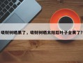 吸财树晒黑了，吸财树晒太阳后叶子全黄了？