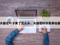 大丽花叶子黄了怎么办，大丽花叶子发黑枯萎