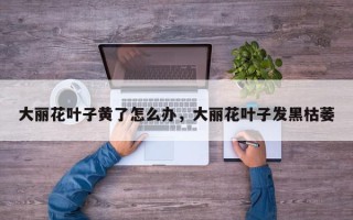 大丽花叶子黄了怎么办，大丽花叶子发黑枯萎