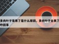多肉叶子变黑了是什么原因，多肉叶子全黑了咋回事