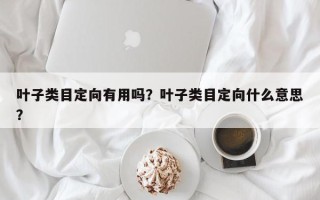 叶子类目定向有用吗？叶子类目定向什么意思？