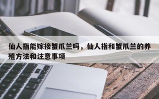 仙人指能嫁接蟹爪兰吗，仙人指和蟹爪兰的养殖方法和注意事项