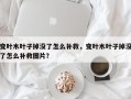 变叶木叶子掉没了怎么补救，变叶木叶子掉没了怎么补救图片？