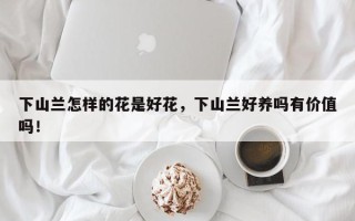 下山兰怎样的花是好花，下山兰好养吗有价值吗！