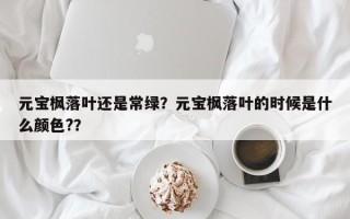 元宝枫落叶还是常绿？元宝枫落叶的时候是什么颜色?？