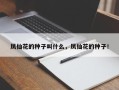 凤仙花的种子叫什么，凤仙花的种子！