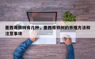墨西哥铁树有几种，墨西哥铁树的养殖方法和注意事项