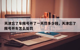 天津忘了车限号开了一天罚多少钱，天津忘了限号开车怎么处罚