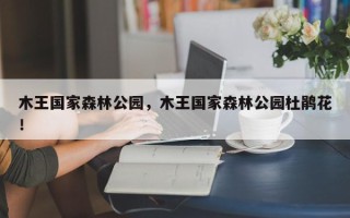 木王国家森林公园，木王国家森林公园杜鹃花！