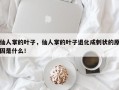 仙人掌的叶子，仙人掌的叶子退化成刺状的原因是什么！