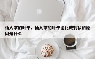 仙人掌的叶子，仙人掌的叶子退化成刺状的原因是什么！