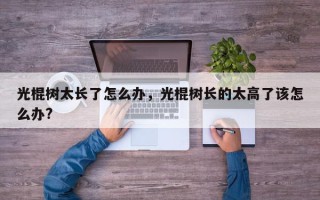 光棍树太长了怎么办，光棍树长的太高了该怎么办?