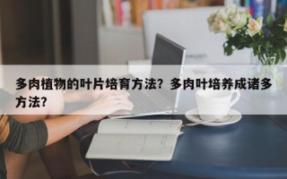 多肉植物的叶片培育方法？多肉叶培养成诸多方法？