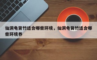 仙洞龟背竹适合哪些环境，仙洞龟背竹适合哪些环境养