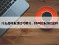 什么品种朱顶红花期长，好养的朱顶红品种