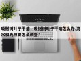 吸财树叶子干瘪，吸财树叶子干瘪怎么办,浇水和光照要怎么调整?