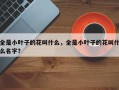 全是小叶子的花叫什么，全是小叶子的花叫什么名字？