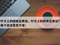 叶子上的蚜虫还用治，叶子上的蚜虫还用治?换个说法意思不变！