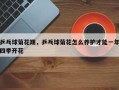 乒乓球菊花期，乒乓球菊花怎么养护才能一年四季开花