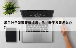 吊兰叶子发黄要剪掉吗，吊兰叶子发黄怎么办?