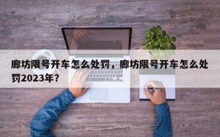 廊坊限号开车怎么处罚，廊坊限号开车怎么处罚2023年？