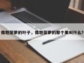 像地菠萝的叶子，像地菠萝的那个果叫什么？