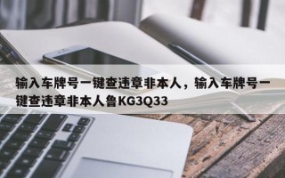 输入车牌号一键查违章非本人，输入车牌号一键查违章非本人鲁KG3Q33