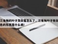 三角梅的叶子发白是怎么了，三角梅叶子有白色的东西是什么病！