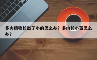 多肉植物长出了小的怎么办？多肉长小苗怎么办？