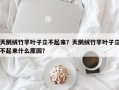 天鹅绒竹芋叶子立不起来？天鹅绒竹芋叶子立不起来什么原因？