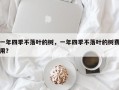 一年四季不落叶的树，一年四季不落叶的树费用？