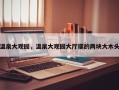 温泉大观园，温泉大观园大厅摆的两块大木头