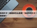 多肉叶子一碰就掉怎么回事？为啥多肉叶子一碰就掉？