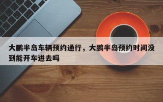 大鹏半岛车辆预约通行，大鹏半岛预约时间没到能开车进去吗