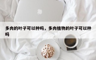多肉的叶子可以种吗，多肉植物的叶子可以种吗