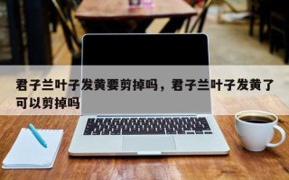 君子兰叶子发黄要剪掉吗，君子兰叶子发黄了可以剪掉吗